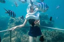 Cham Island Sea Trek and Snorkeling by Speedboat