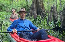 Kayak Tour in the Atchafalaya Basin Explore Louisiana Swamps