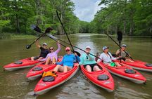 Kayak Tour in the Atchafalaya Basin Explore Louisiana Swamps