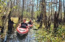 Kayak Tour in the Atchafalaya Basin Explore Louisiana Swamps