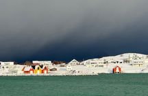 Tromso Sommaroy paparazzi tour
