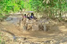 Monkey House Experience with Buggy Tour y Cenote Visit
