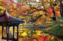 Seoul: 3 Royal Palaces & Secret Garden, 500 Years of History