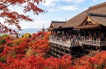 Kyoto/Osaka in 1 Day from Tokyo | See all important highlights