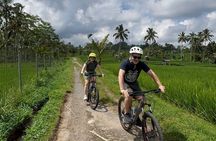 All Inclusive Bali Downhill Cycling Tour With Volcano Visit