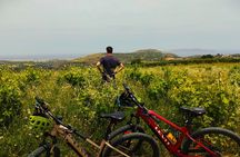 Archanes e-bike day trip from Heraklion with food & wine tasting