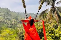 Bali Private All-Inclusive: Swing, Waterfall & Holy Temple