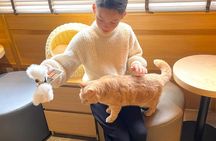 Tokyo Gotokuji Cat Temple, Shinjuku Cat Cafe and 3D Cat PM Tour