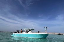 Private 4 Hour Speed Boat Tour to White Island and Dolphin House