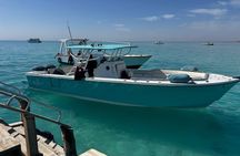Private 4 Hour Speed Boat Tour to White Island and Dolphin House