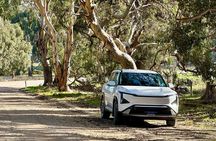 EV Island Explorer Tours
