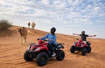 VIP Desert Safari & Dinner Show The Fort Lisaili