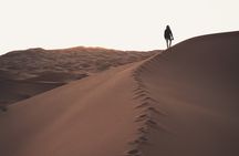 Dubai Morning Desert Safari