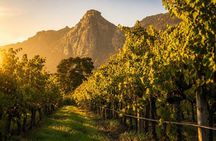 Cape Town: Kirstenbosch, Groot Constantia & Steenberg Wine Estate