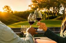 Cape Town: Kirstenbosch, Groot Constantia & Steenberg Wine Estate