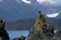 Customized Private Juneau Sightseeing SUV/Van Excursion