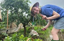 Hanoi Farm-to-Table Cooking Class with Village Cycling