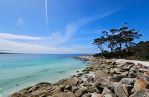 Tasmania 6 Day East Coast Tour