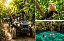 Monkey House Experience with Buggy Tour y Cenote Visit