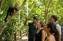 Monkey House Experience with Buggy Tour y Cenote Visit