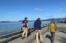 Explore Petroglyphs History and Nature in Wrangell by Walking