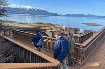 Explore Petroglyphs History and Nature in Wrangell by Walking