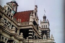 Cruise Ship Tour Dunedin City Highlights & Otago Peninsula Views