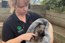 Hobart: All-Inclusive Private Bruny Island Discovery Tour