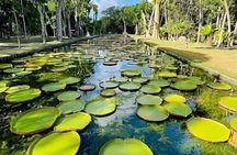 North Mauritius Cultural Scenic Private Tour
