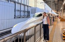 Kyoto Day Trip from Tokyo by Bullet Train Private Guided Tour