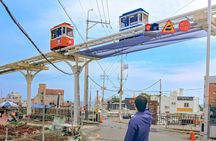 The Essential Busan: Coastal Views, Local Markets & Culture Tour