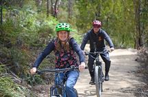 Mt Wellington Rainforest Self Guided Off Road Bike Adventure