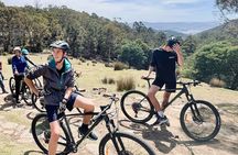 Mt Wellington Rainforest Self Guided Off Road Bike Adventure