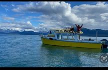 Kachemak Bay Marine Wildlife and Nature Cruise