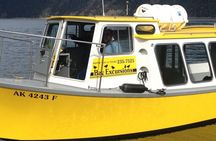 Kachemak Bay Marine Wildlife and Nature Cruise