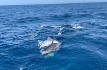 Sailing Yacht Trip from Maspalomas with Snorkeling (Small Group)