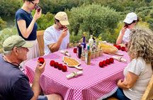 Exclusive Tasting of Olive Oil and Paella in Family Estate