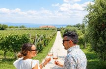 Wine tour and tasting with Lake view In Moniga del Garda