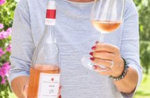 Wine tour and tasting with Lake view In Moniga del Garda