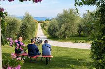 Wine tour and tasting with Lake view In Moniga del Garda