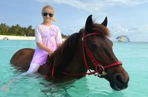 Zanzibar Horse Riding Adventure at Nungwi or Kendwa Beach
