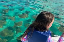 Private Dolphin and Snorkel Tour in Panama City Beach
