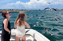 Private Dolphin and Snorkel Tour in Panama City Beach