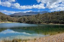 Mt Wellington Rainforest Self Guided Off Road Bike Adventure
