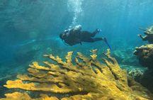 Diving in Santa Marta Taganga and Tayrona Park