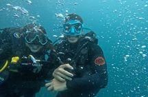Diving in Santa Marta Taganga and Tayrona Park