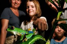Cahuita Night Jungle Walk – Nocturnal Wildlife Experience