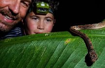 Cahuita Night Jungle Walk – Nocturnal Wildlife Experience