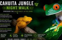 Cahuita Night Jungle Walk – Nocturnal Wildlife Experience