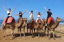 Tangier 4-Hour Private Tour with Camel Ride, Medina & Kasbah ………